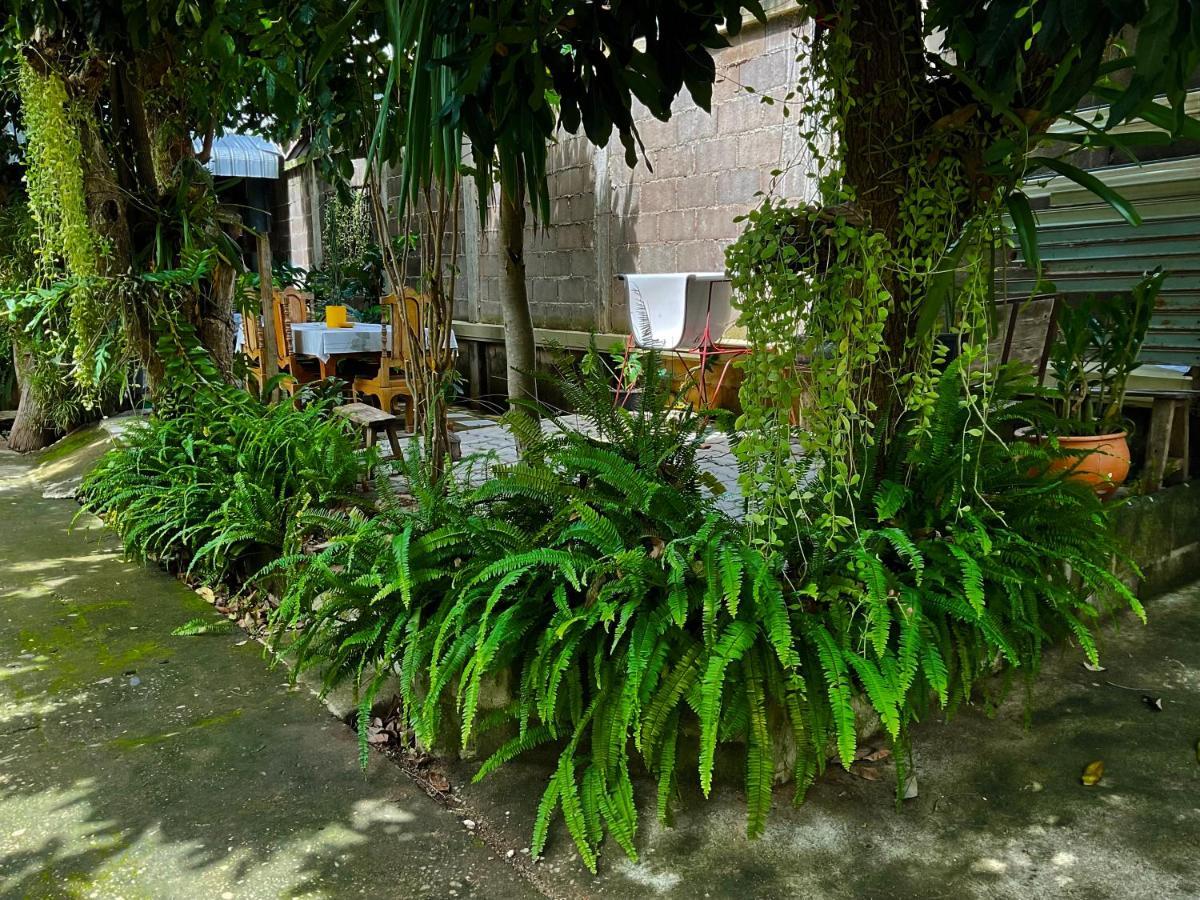 מאה צ'אם Kwanlah Homestay מראה חיצוני תמונה