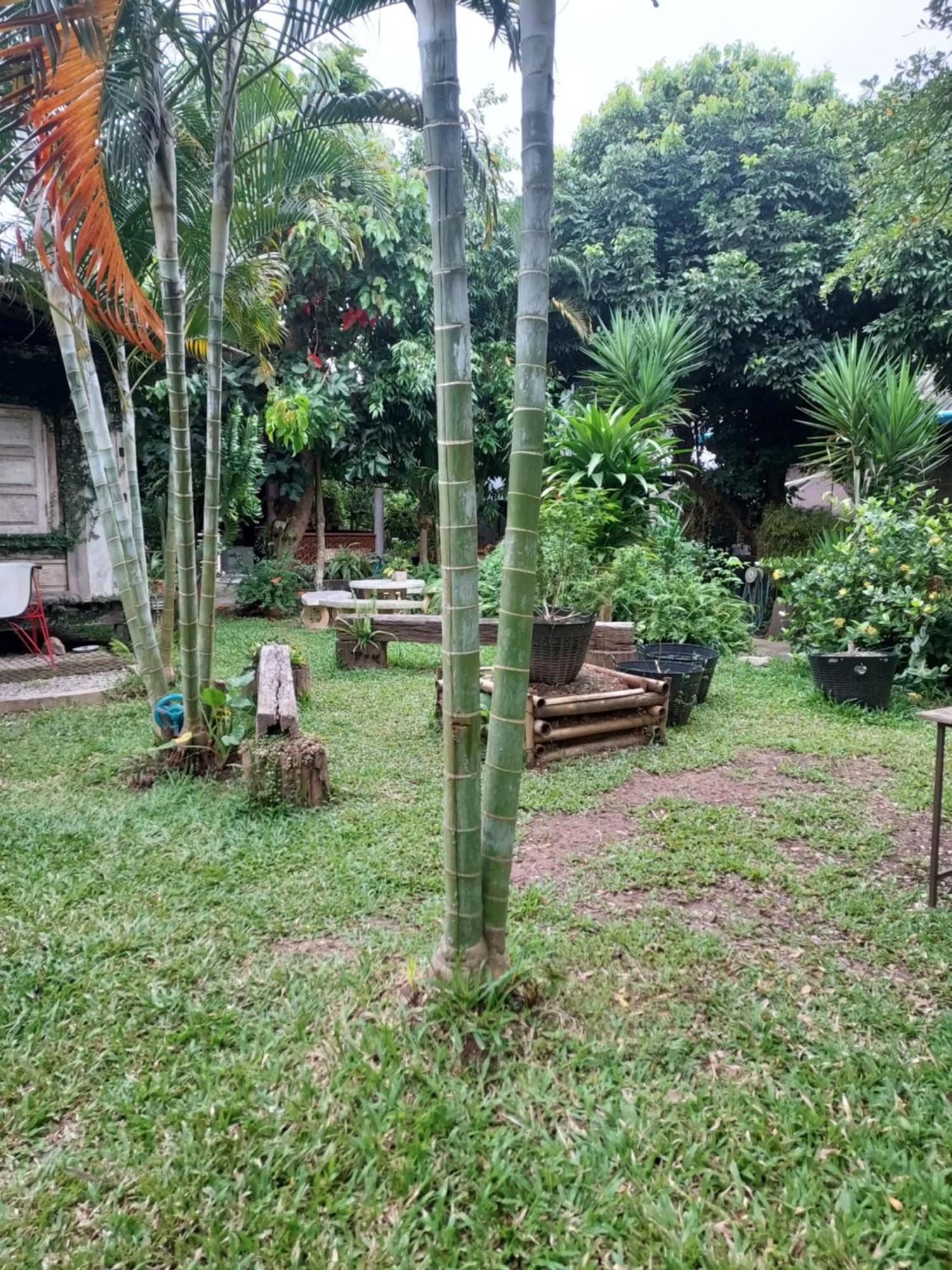 מאה צ'אם Kwanlah Homestay מראה חיצוני תמונה