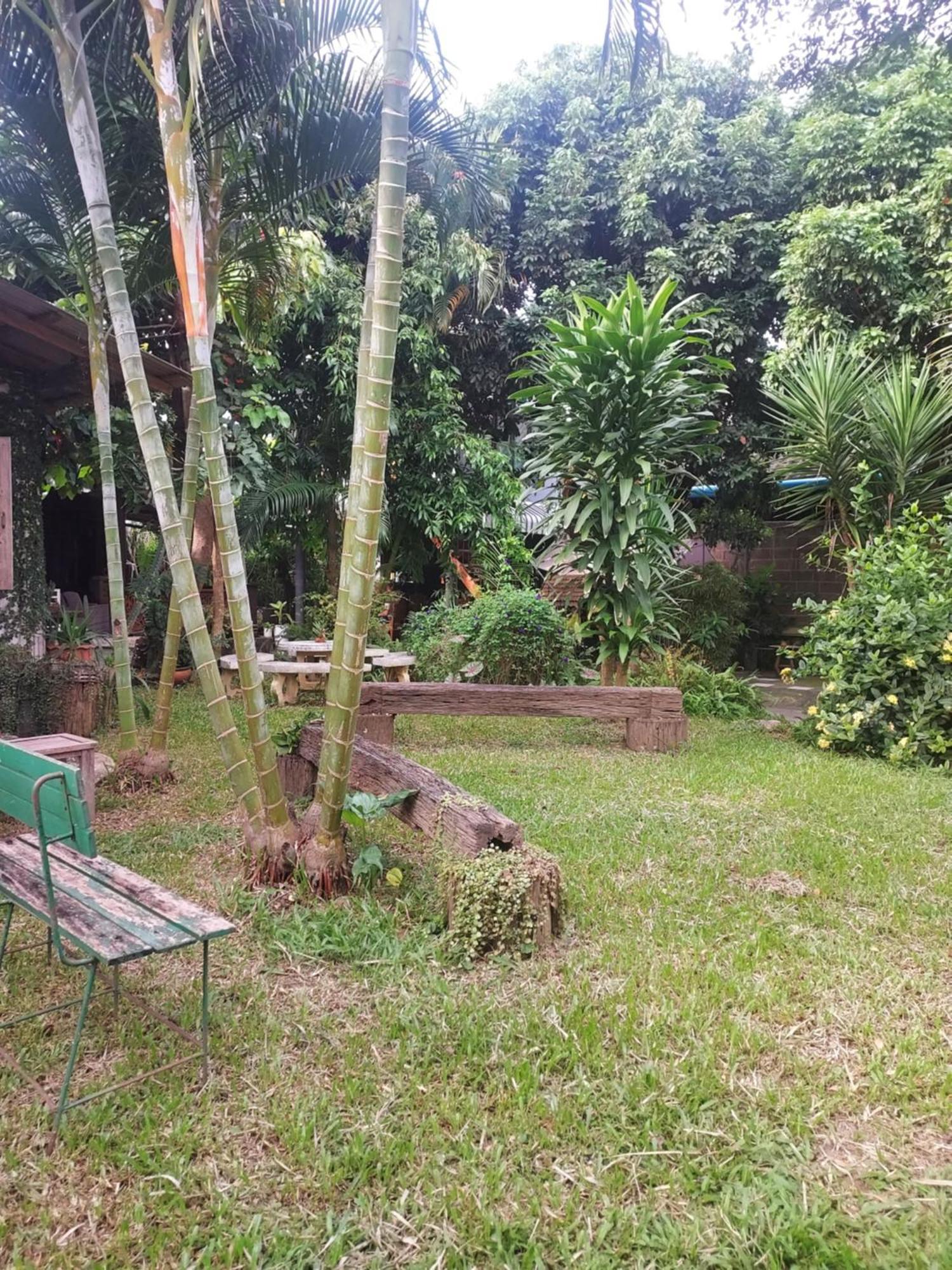 מאה צ'אם Kwanlah Homestay מראה חיצוני תמונה